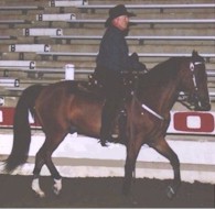 cdtrot.jpg (12712 bytes)